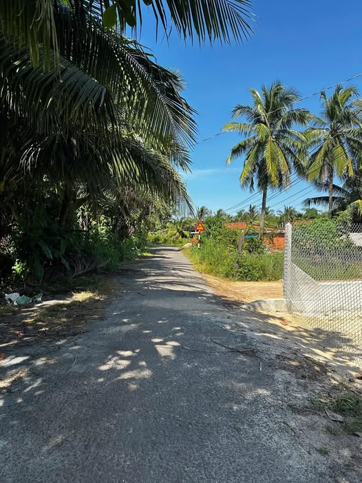 Đất nền 238m² xã Thạnh Bình, Tây Ninh giá 2.142 tỷ - Cơ hội đầu tư tuyệt vời!