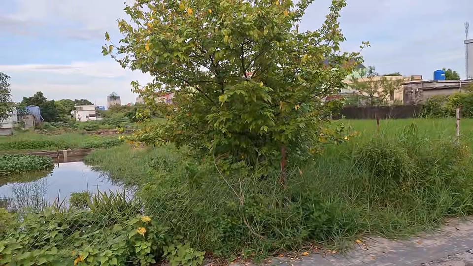 Đất xây biệt thự 385m² Xóm Xuân Tiên, Giao Xuân chỉ 1.3 tỷ - Cơ hội đầu tư tuyệt vời!