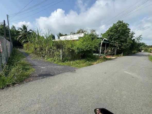 Đất nền Thanh Phước, Gò Dầu 156m² giá 580 triệu - Đầu tư sinh lời ngay!