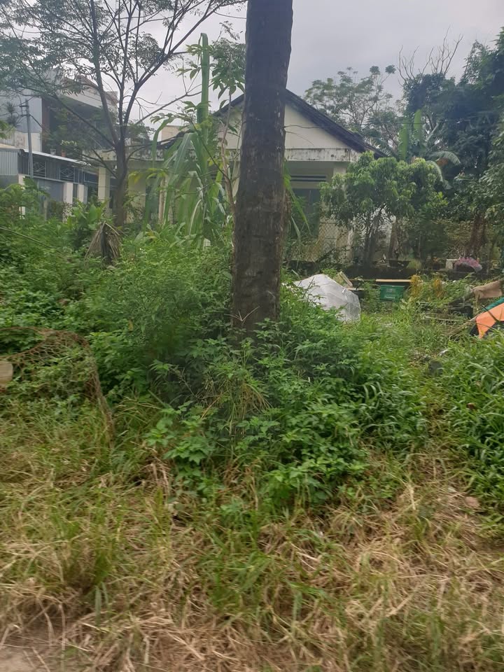 Đất nền Hòa Khánh Nam 65m² giá 2 tỷ - Gần chợ và trường học!