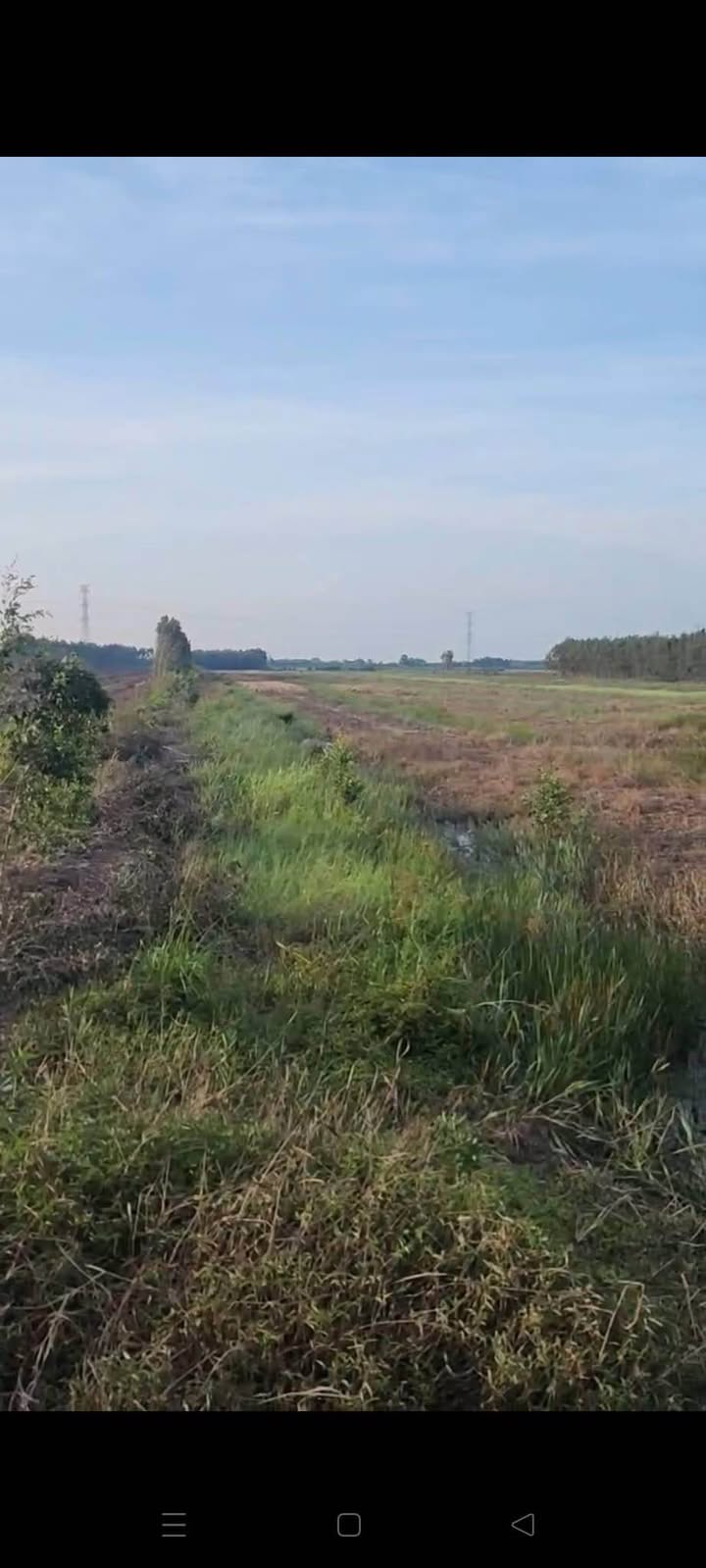 Đất nền thổ cư Thủy Đông, Thạnh Hóa 100m² giá 1 tỷ - Đầu tư sinh lời!