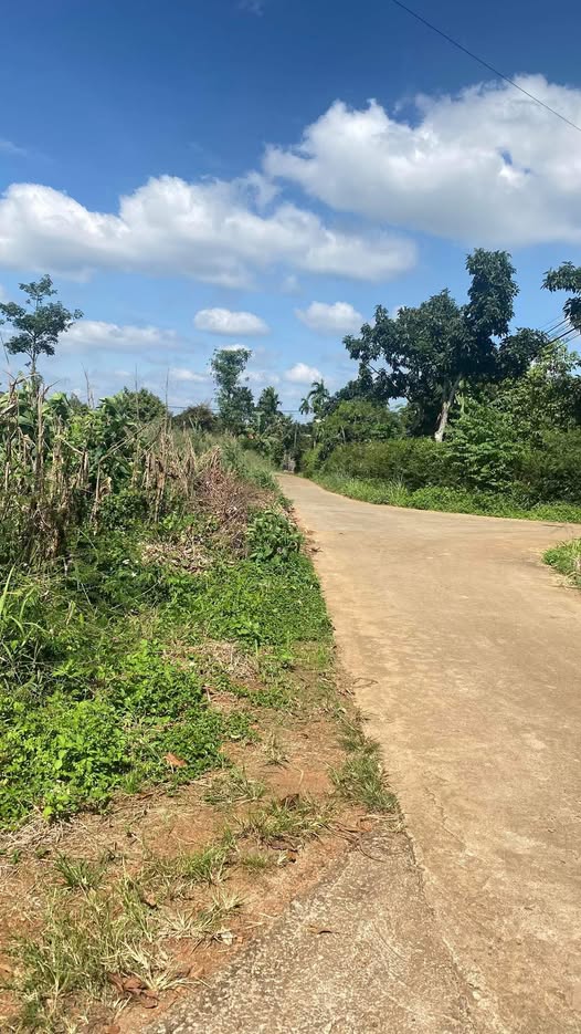 Đất thổ cư 500m² tại Thôn Thành Công, Đắk Lắk - Giá chỉ 700 triệu!