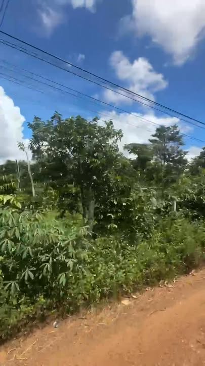 Đất nông nghiệp 1999m² xã Cuôr Đăng, Đắk Lắk giá 1.25 tỷ - Chính chủ bán gấp!