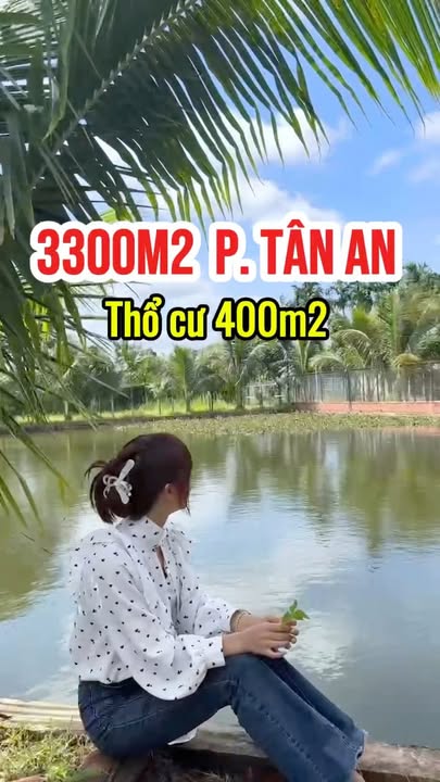 Đất nền 3300m² tại phường Tân An BMT - Phù hợp làm homestay, nghỉ dưỡng!