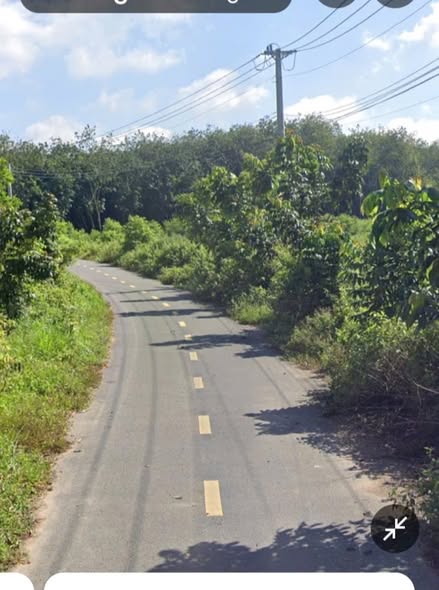 Đất nền Long Nguyên 10.000m² giá 6.9 tỷ - Cơ hội đầu tư tuyệt vời!