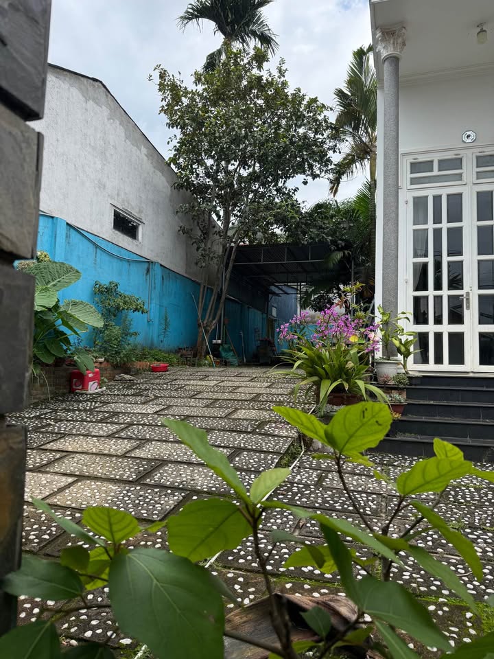 Nhà đất hẻm đường Nguyễn Trãi, thị trấn Liên Nghĩa, 320m² - Giá chỉ 5 tỷ, cơ hội đầu tư tuyệt vời!