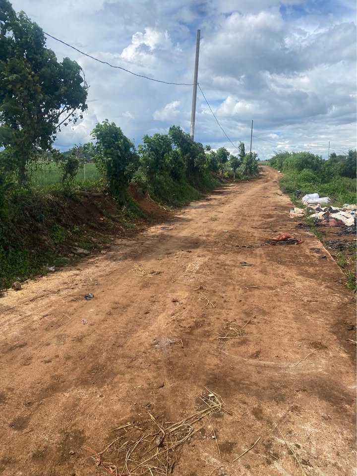 Lô đất 300m² mặt tiền đường bê tông tại Đức Trọng - Giá thỏa thuận hấp dẫn!