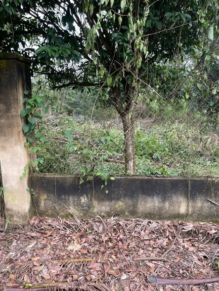 Đất thổ cư Hòa Thắng, Buôn Ma Thuột 444m² giá 2.08 tỷ - Đường nhựa đẹp, thoáng mát!