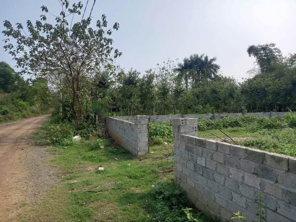 Đất nền Tiến Xuân Thạch Thất 474m² giá chỉ 2x triệu/m² - Vị trí đắc địa gần hồ