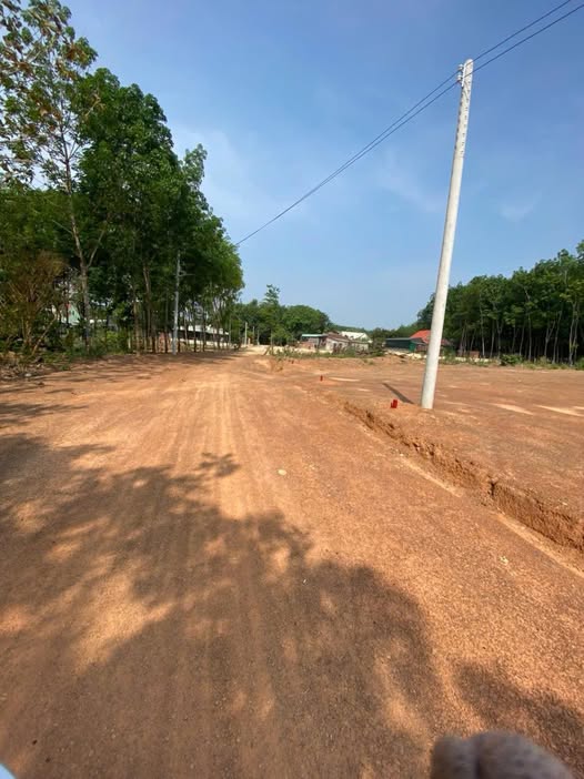 Đất nền Tân Đồng 900m² giá 1 tỷ - Đầu tư sinh lời ngay!