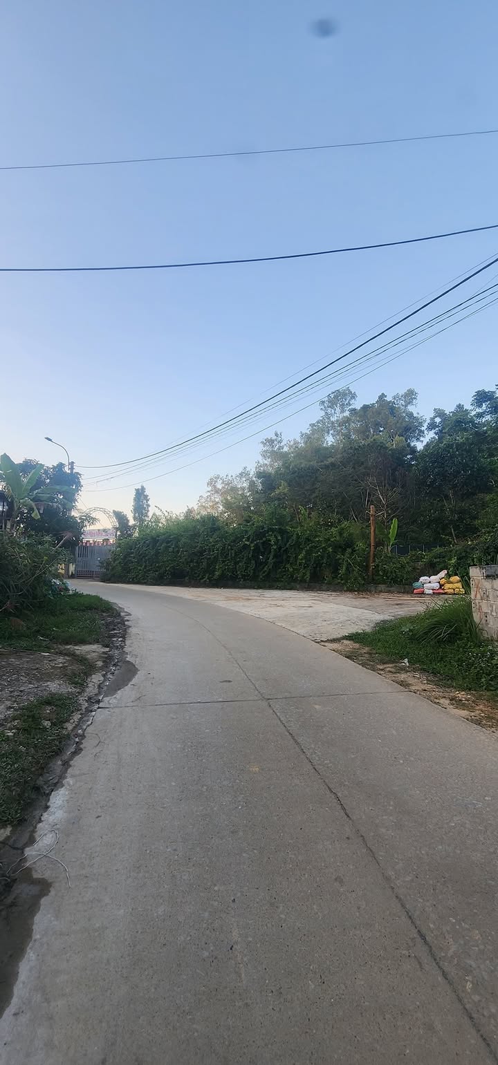 Đất vườn mặt đường Văn Vỉ 750m² và 1.000m² - Phù hợp xây biệt thự và kho xưởng!