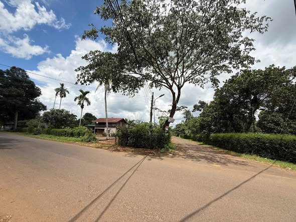 Đất thổ cư mặt tiền Y Wang 500m² giá 2.799 tỷ - Vị trí kinh doanh đắc địa!