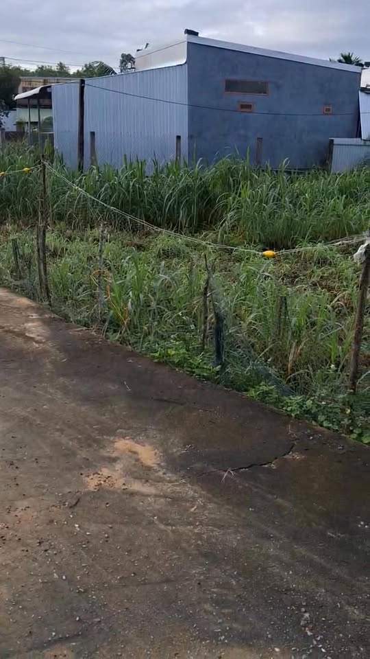 Đất nền Bình Hòa 164m² giá chỉ 300 triệu - Cơ hội đầu tư tuyệt vời!