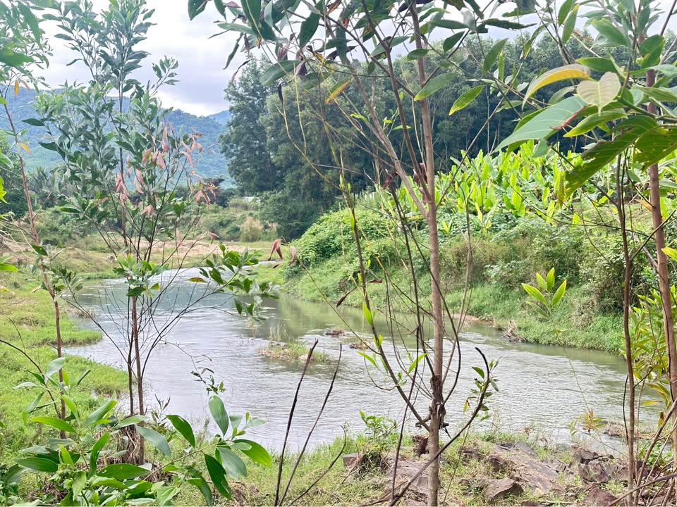 Đất thổ cư Khánh Đông 1494m² giá 780 triệu - Nơi an cư lý tưởng!