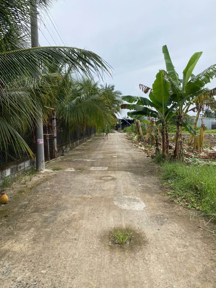 Đất nền phường Trung An, Mỹ Tho, 170m² giá 800 triệu - Tiềm năng đầu tư hấp dẫn!