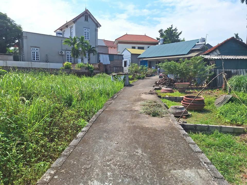 Đất nền Thọ Lộc, Phúc Thọ 44m² giá 1.2 tỷ - Chính chủ bán nhanh!