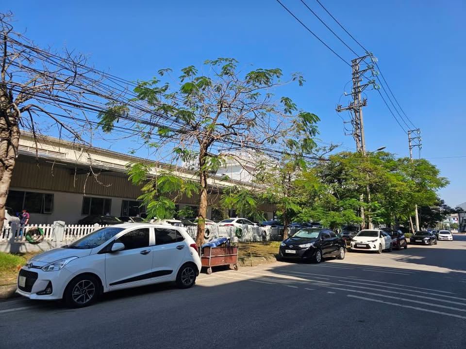 Đất mặt tiền Lý Quốc Sư, Võ Cường 81m² giá 10 tỷ - Kinh doanh sầm uất!