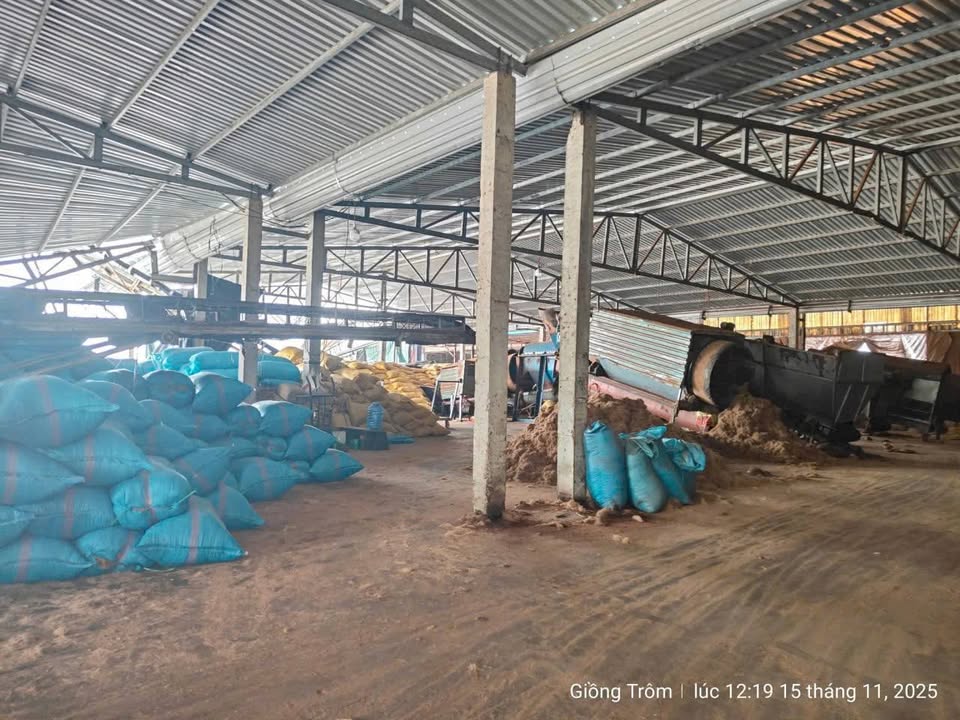 Nhà xưởng mặt tiền Sông Hàm Luông 8000m² giá 15 tỷ - Cơ hội đầu tư tuyệt vời!