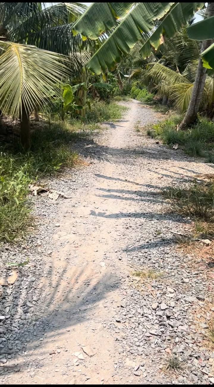 Đất vườn 1742m² tại Phường Sơn Đông, Vĩnh Long - Giá chỉ 1.7 tỷ, cơ hội đầu tư tuyệt vời!