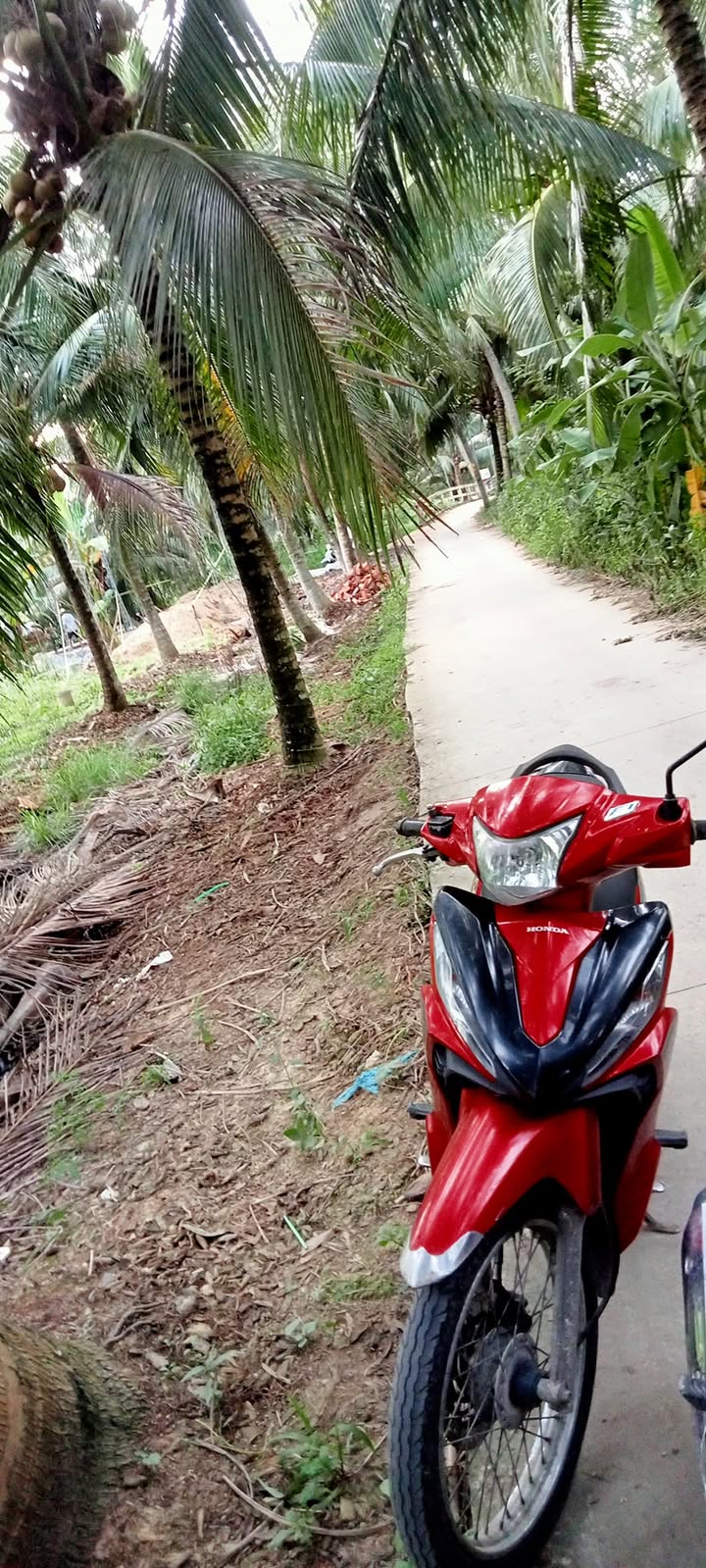 Đất vườn dừa khô Tân Thanh 515m² giá 300 triệu - Sổ đỏ chính chủ!