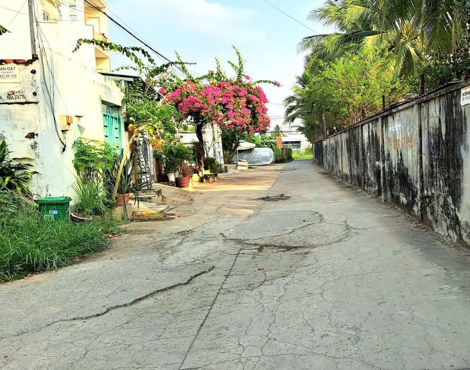 Đất nền đường số 8, phường Trường Thạnh, Thủ Đức, 100m² giá 4,2 tỷ - Cơ hội đầu tư sinh lời!