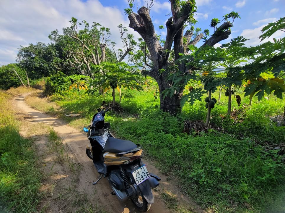 Đất nền Cam Lâm Khánh Hòa 1345m² giá 720 triệu - Đầu tư sinh lời cao!