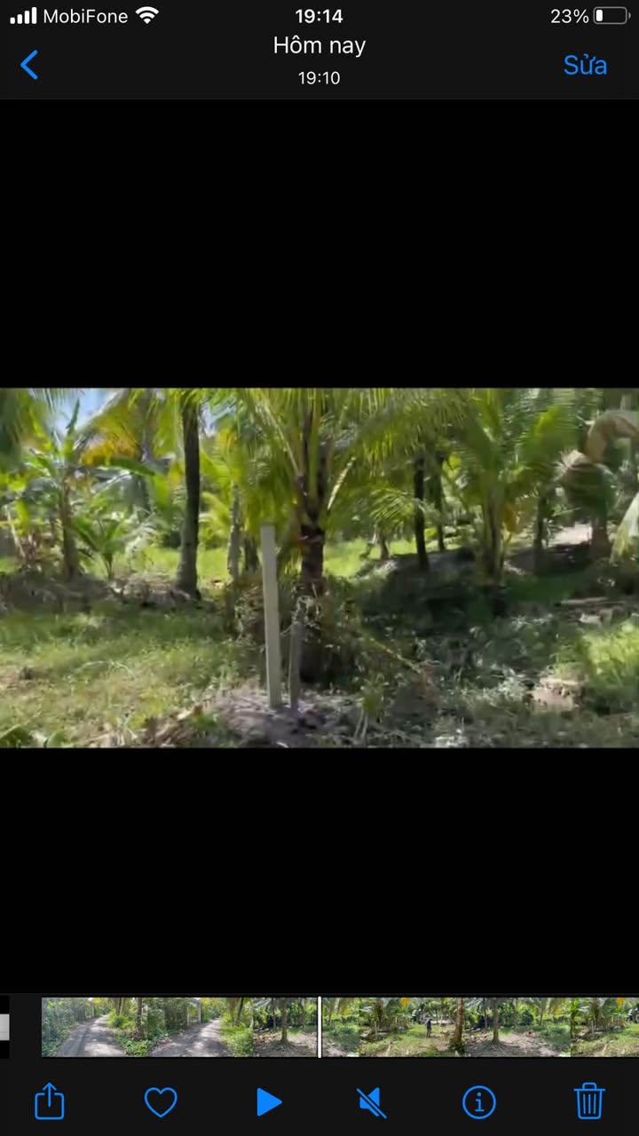 Đất nền Long Phước, Long Hồ 816m² giá 2 tỷ - Nơi an cư lý tưởng!