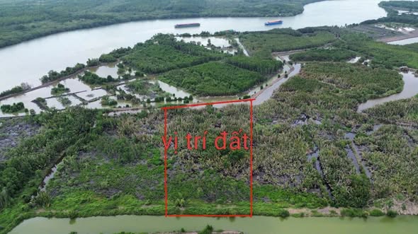 Đất thương mại dịch vụ Vĩnh Thanh Nhơn Trạch 20000m² - Giá đầu tư hấp dẫn!