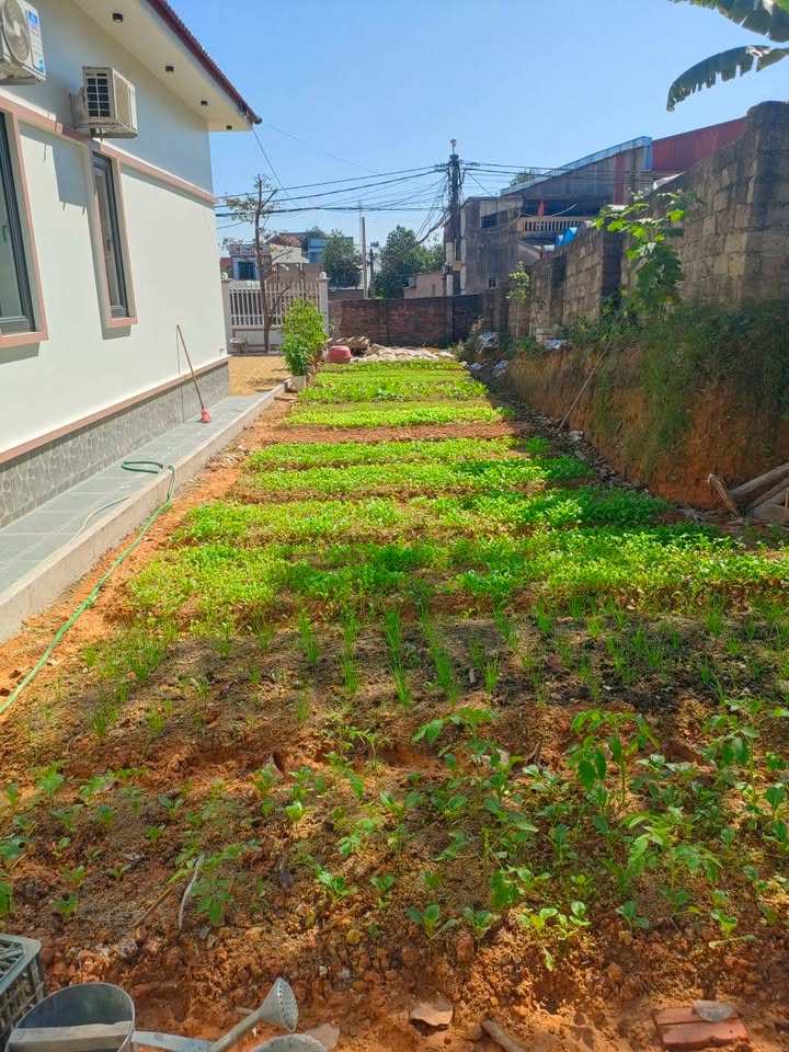 Đất thổ cư tại phường Tích Lương 125m² giá 1.3 tỷ - Hướng Đông đón tài lộc!