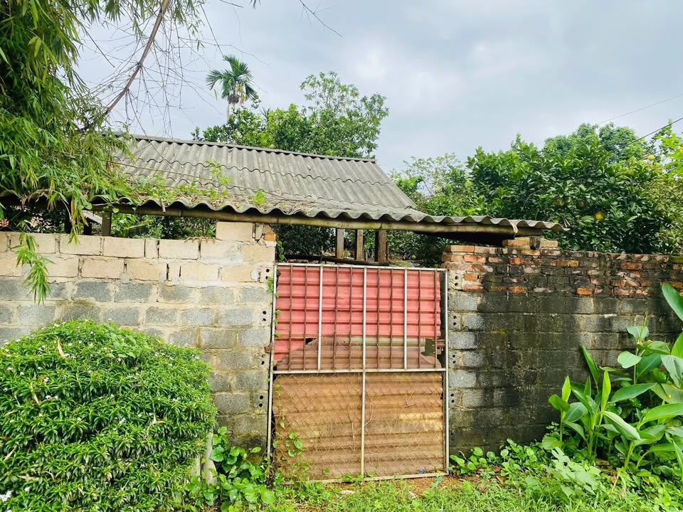 Đất thổ cư Yên Bài, Ba Vì 300m² - Tiềm năng đầu tư nghỉ dưỡng