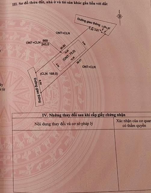 Đất nền Việt Lập, Tân Yên, Bắc Giang 243m² giá chỉ 400 triệu - Cơ hội đầu tư không thể bỏ lỡ!