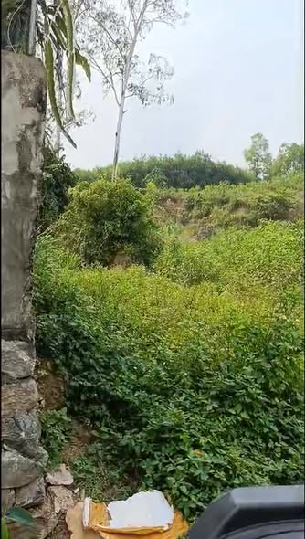 Đất nền Nghĩa Trung, Nghĩa Đàn 173.8m² giá 800 triệu - Cơ hội đầu tư tuyệt vời!