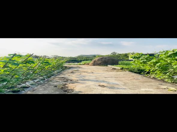 Đất nền Quỳnh Văn 142.5m² giá 400 triệu - Sổ đỏ chính chủ, pháp lý rõ ràng!