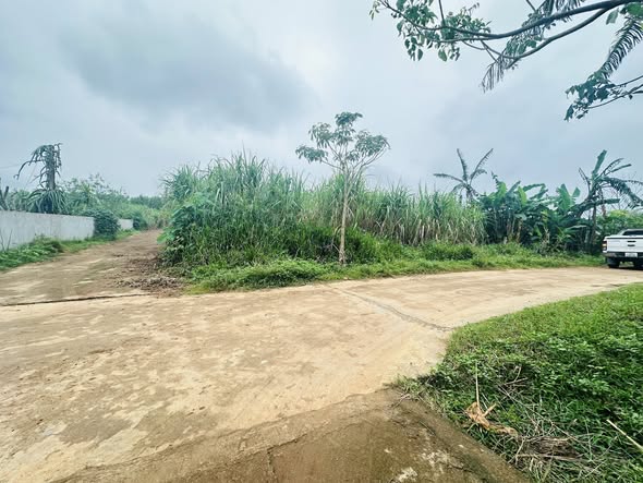 Đất nền Nghĩa Lợi, Nghĩa Đàn 240m² giá 300 triệu - Đầu tư sinh lời ngay!