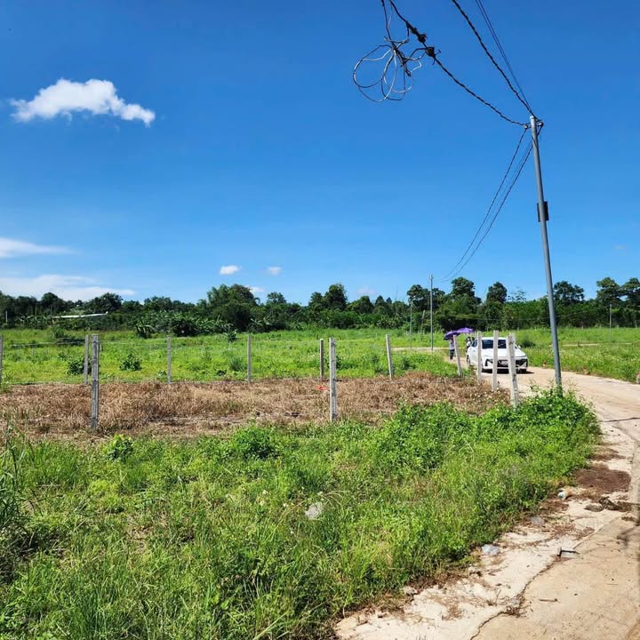 Đất nền Bình Giã, Châu Đức 200m² giá chỉ 390 triệu - Sổ hồng riêng!