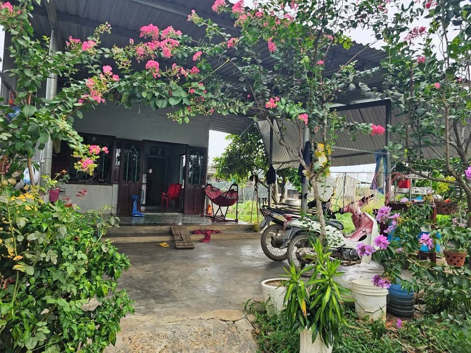 Nhà thổ cư Xuân Hải, Ninh Hải 630m² giá 950 triệu - Gần sân bay Thành Sơn!