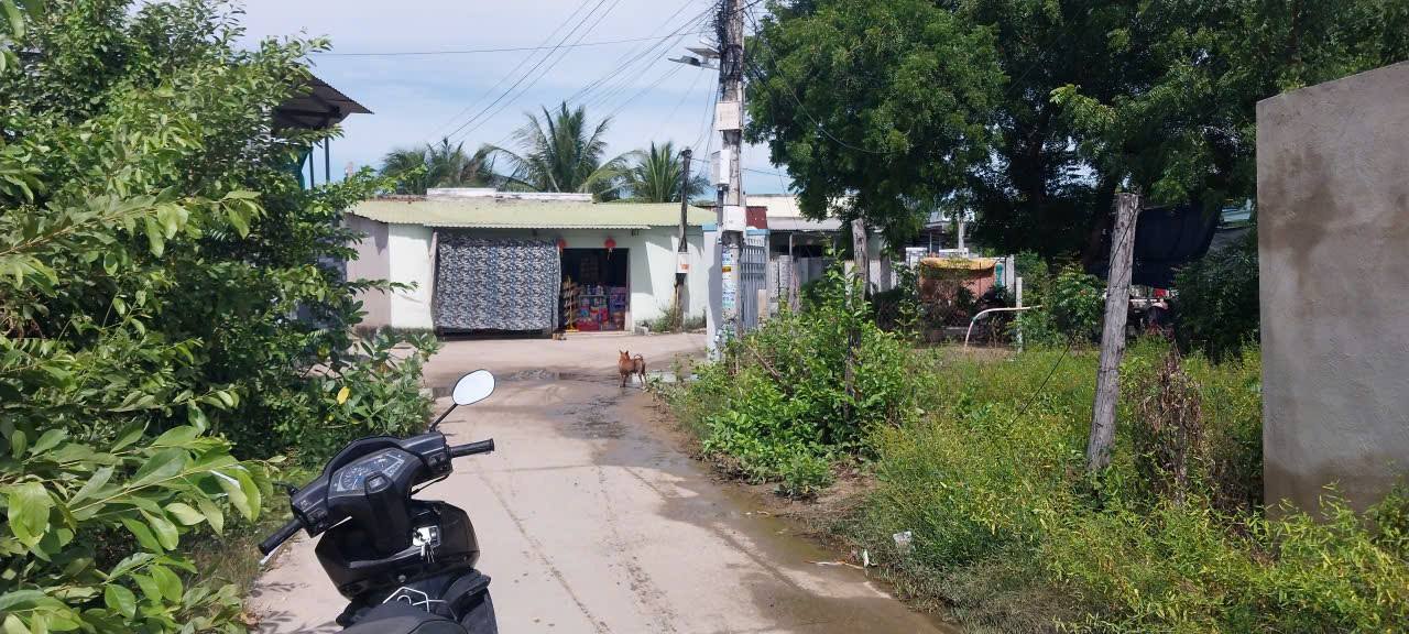 Lô đất thổ cư 379m² Hộ Hải - Giá 960 triệu - Đường xe tải vào tận nơi!