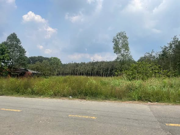 Đất nền Chánh Phú Hòa, Bến Cát 160m² - Cơ hội đầu tư tuyệt vời!