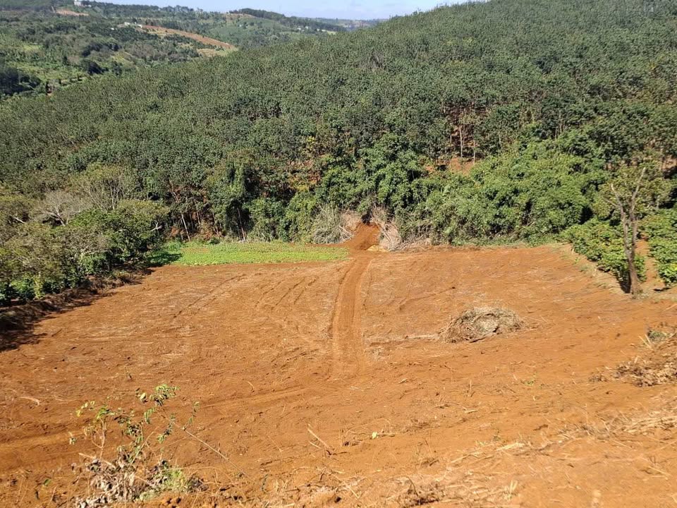 Đất 8 sào tại Bắc Gia Nghĩa, Đắk Nông giá 1.1 tỷ - Sổ đỏ chính chủ, pháp lý rõ ràng!