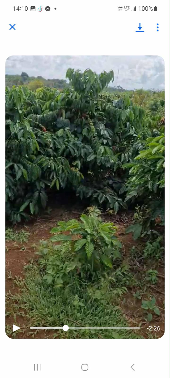 Đất nông nghiệp Nhân Cơ 10.000m² giá chỉ 1.4 tỷ - Cơ hội đầu tư tuyệt vời!