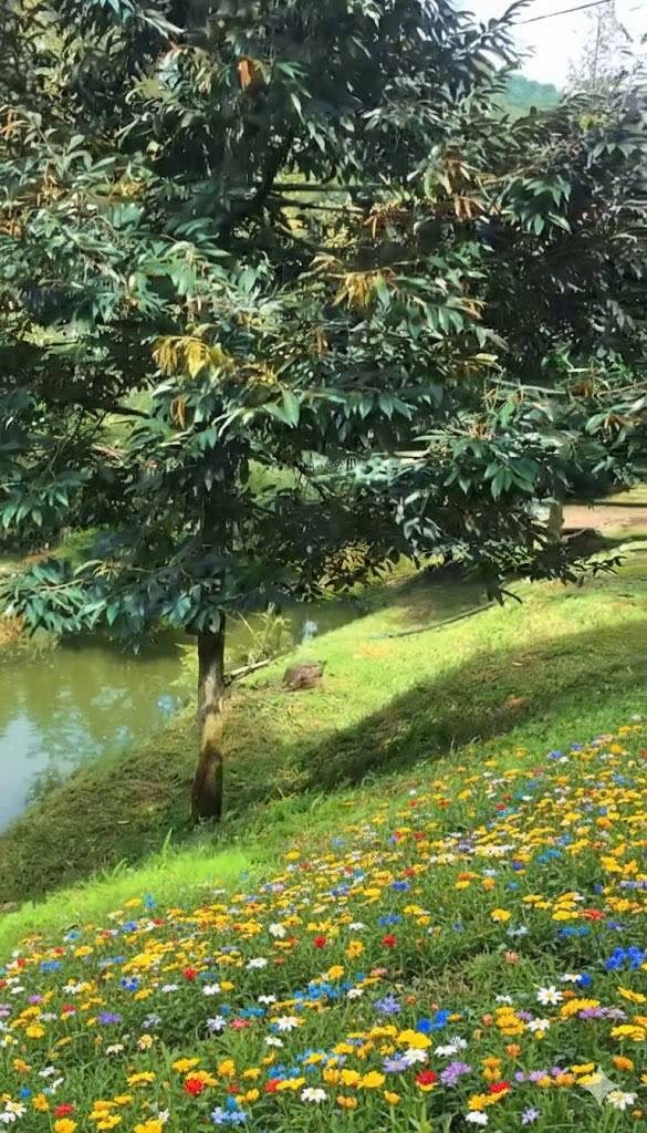 Đất nền Bảo Lâm, Lâm Đồng 2400m² giá 2.5 tỷ - Địa thế phong thủy độc đáo!