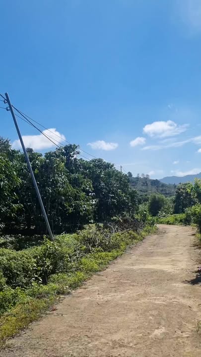 Đất nền 1.5 mẫu tại Thôn 10, Lộc Thành - Giá chỉ 14.4 tỷ, cơ hội đầu tư sinh lời!