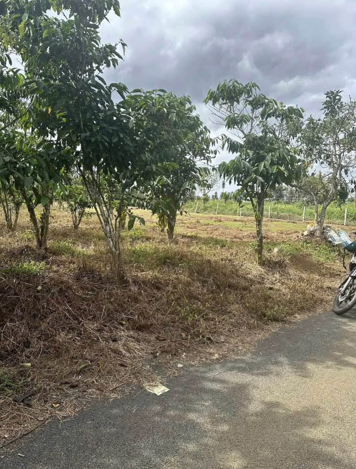 Đất nền Tân Lạc Bảo Lâm 2800m² giá 2.15 tỷ - Cần bán gấp chính chủ!