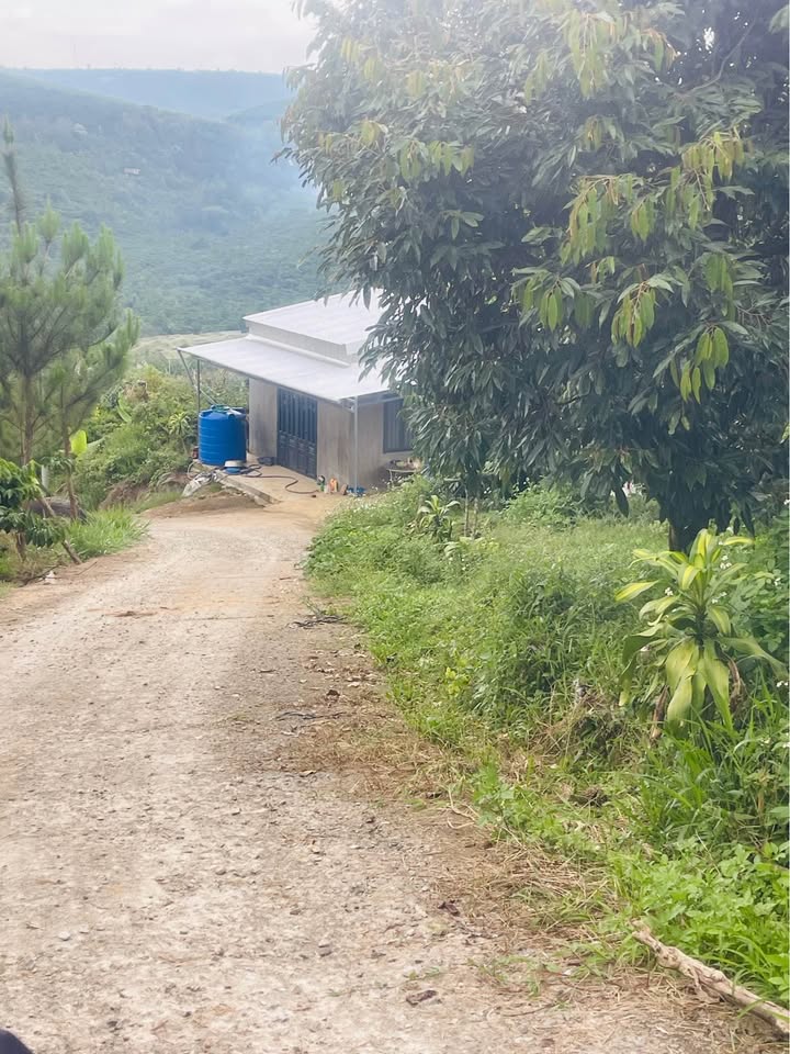 Đất nền Lộc Đức, Bảo Lâm 7400m² giá 3.08 tỷ - Đầu tư sinh lời ngay!