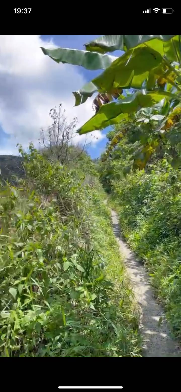 Đất Farm 1,2 hecta ở Lộc Thành - Chỉ 25 triệu/năm - Cơ hội đầu tư tuyệt vời!