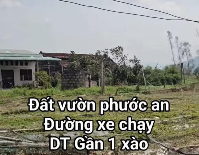 Đất vườn An Sơn 2, xã Phước An, huyện Tuy Phước 1000m² - Giá chỉ 100 triệu VND!