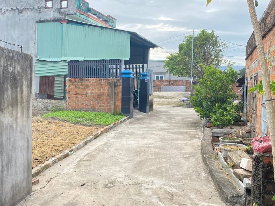 Đất thổ cư Phước An, Tuy Phước 90m² - Giá bán hấp dẫn, chính chủ!