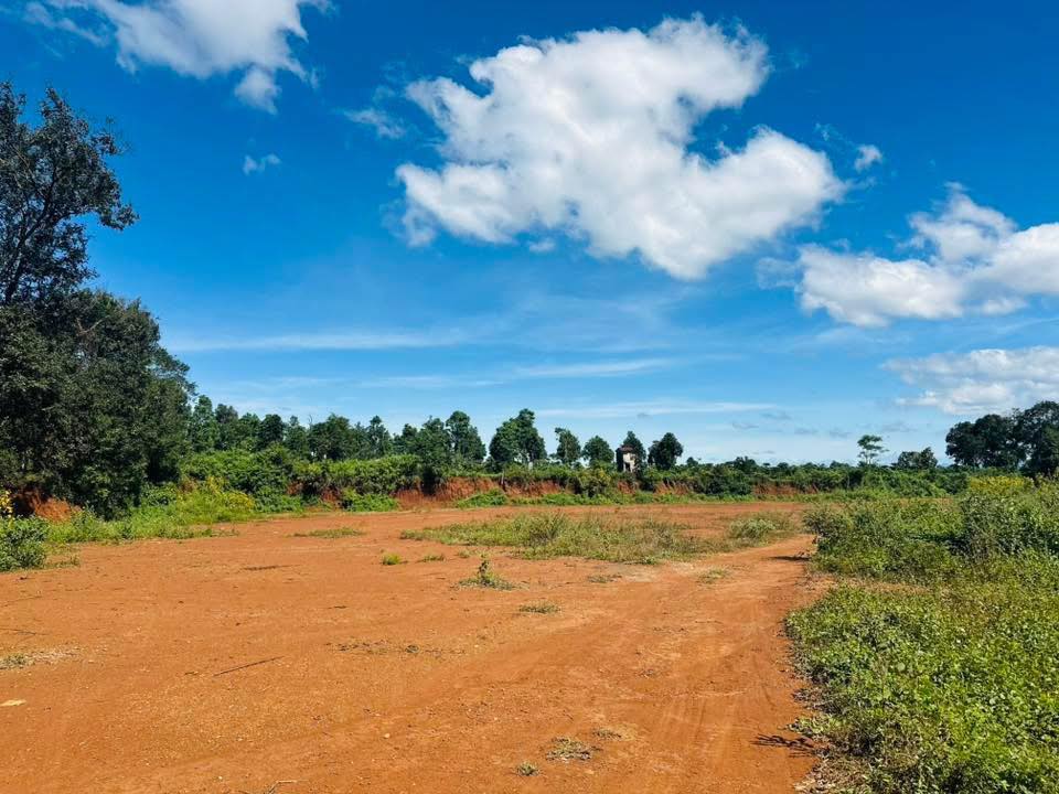 Đất nền hẻm Lý Chính Thắng Pleiku 800m² giá 7.6 tỷ - Đầu tư sinh lời ngay!