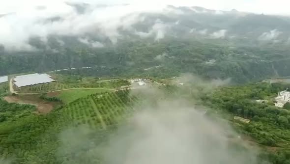 Farm nghỉ dưỡng 15ha tại Yaly, Chư Păh - Gia Lai giá 60 tỷ - Cơ hội đầu tư hiếm có!