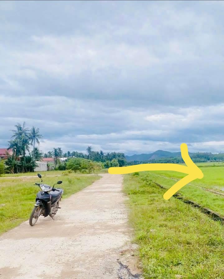 Đất lúa 540m² xã Phú Hòa chỉ 188 triệu - Mặt tiền đường bê tông lớn